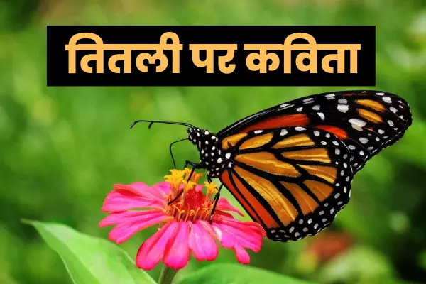 poem on butterfly in hindi